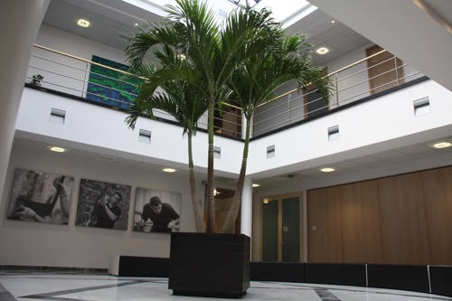 kantoor planten atrium