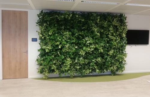muur met levende planten Brussel